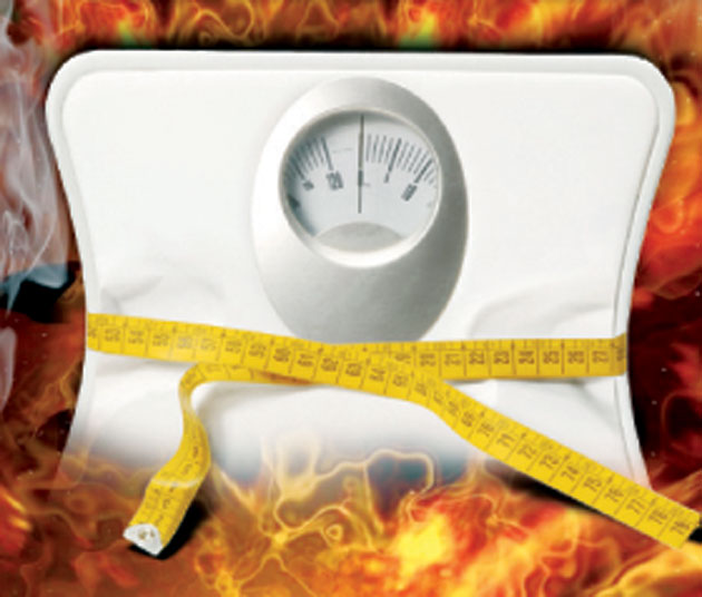الجسم كم سعرات حرارية يحتاج علاقة الوزن